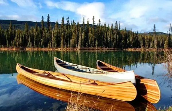 Three different types of canoes sit on the shore of a lake.