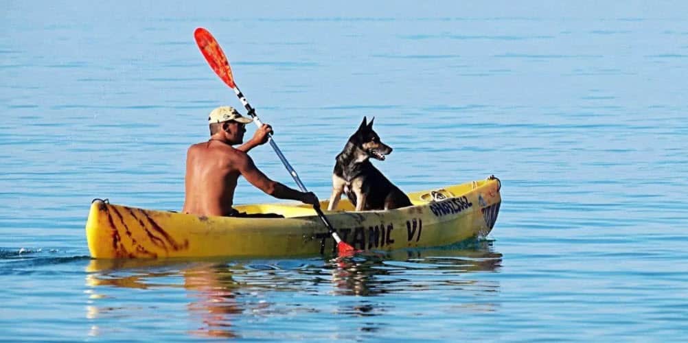 man kayaking with dog