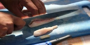 fish fillet knife cutting fish