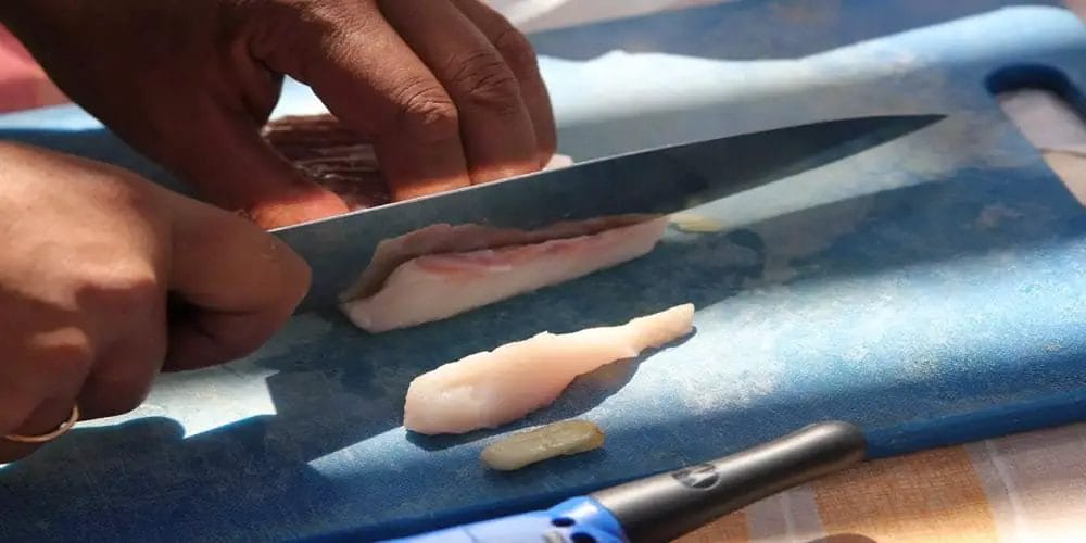 fish fillet knife cutting fish