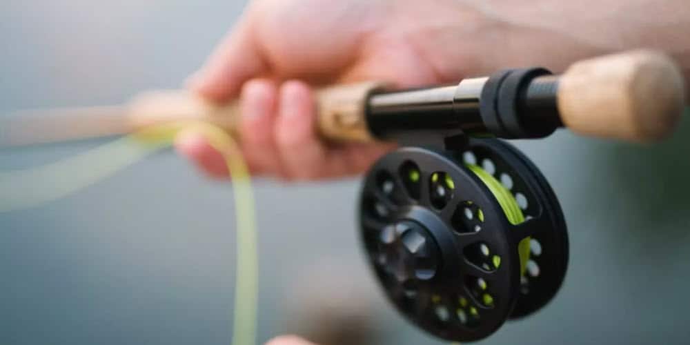 fishing rod and line
