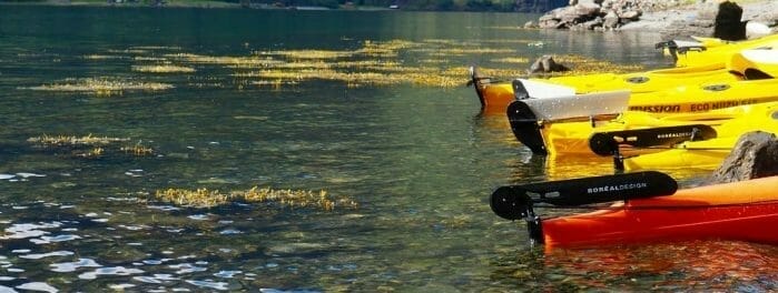 kayak rudders